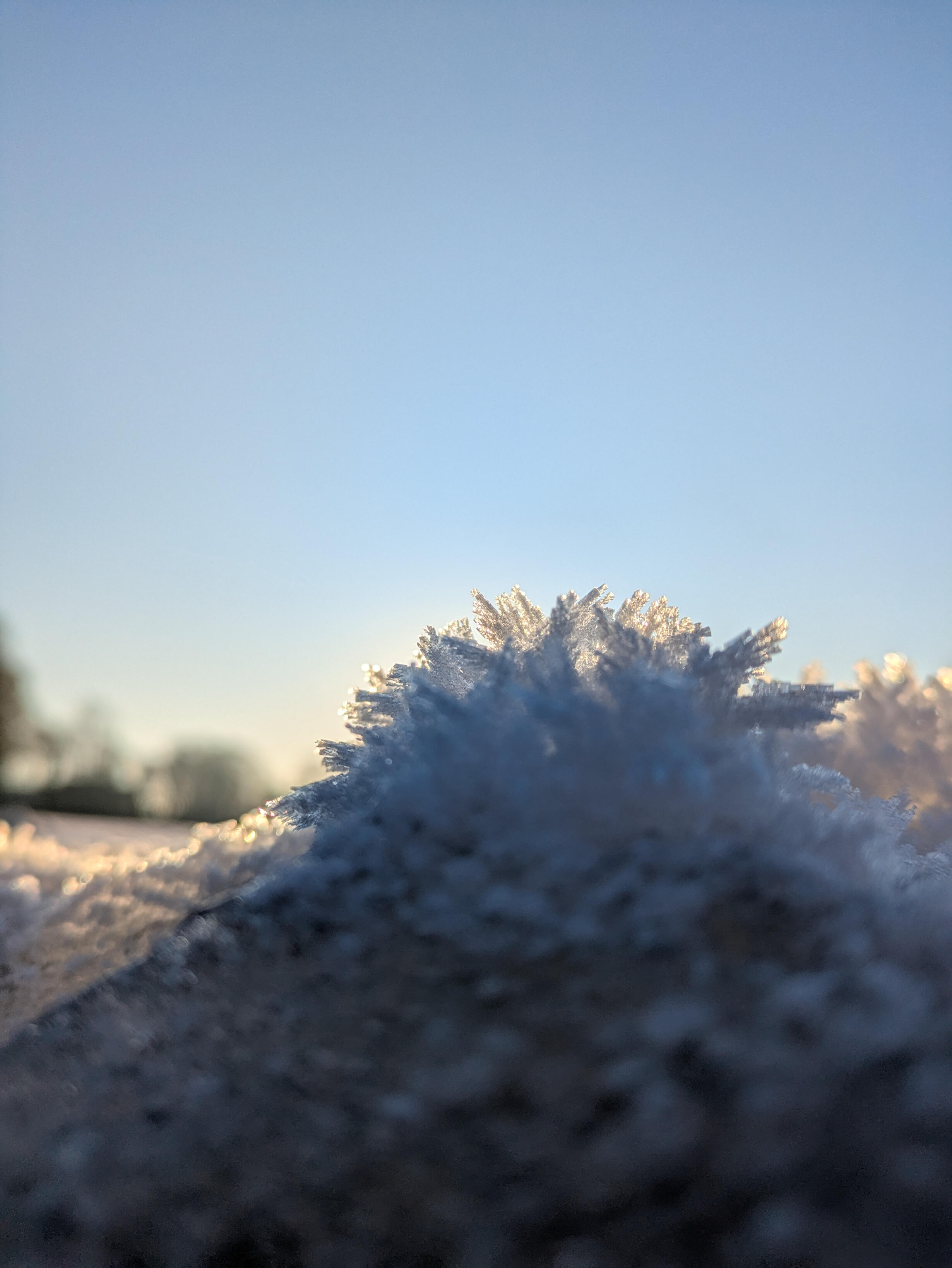 Close up of ice crystals below the sky on Myrtle Park Bingley