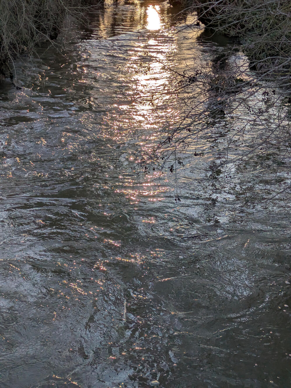 Broken water surface over a riffle in the River Aire, Myrtle Park, Bingley