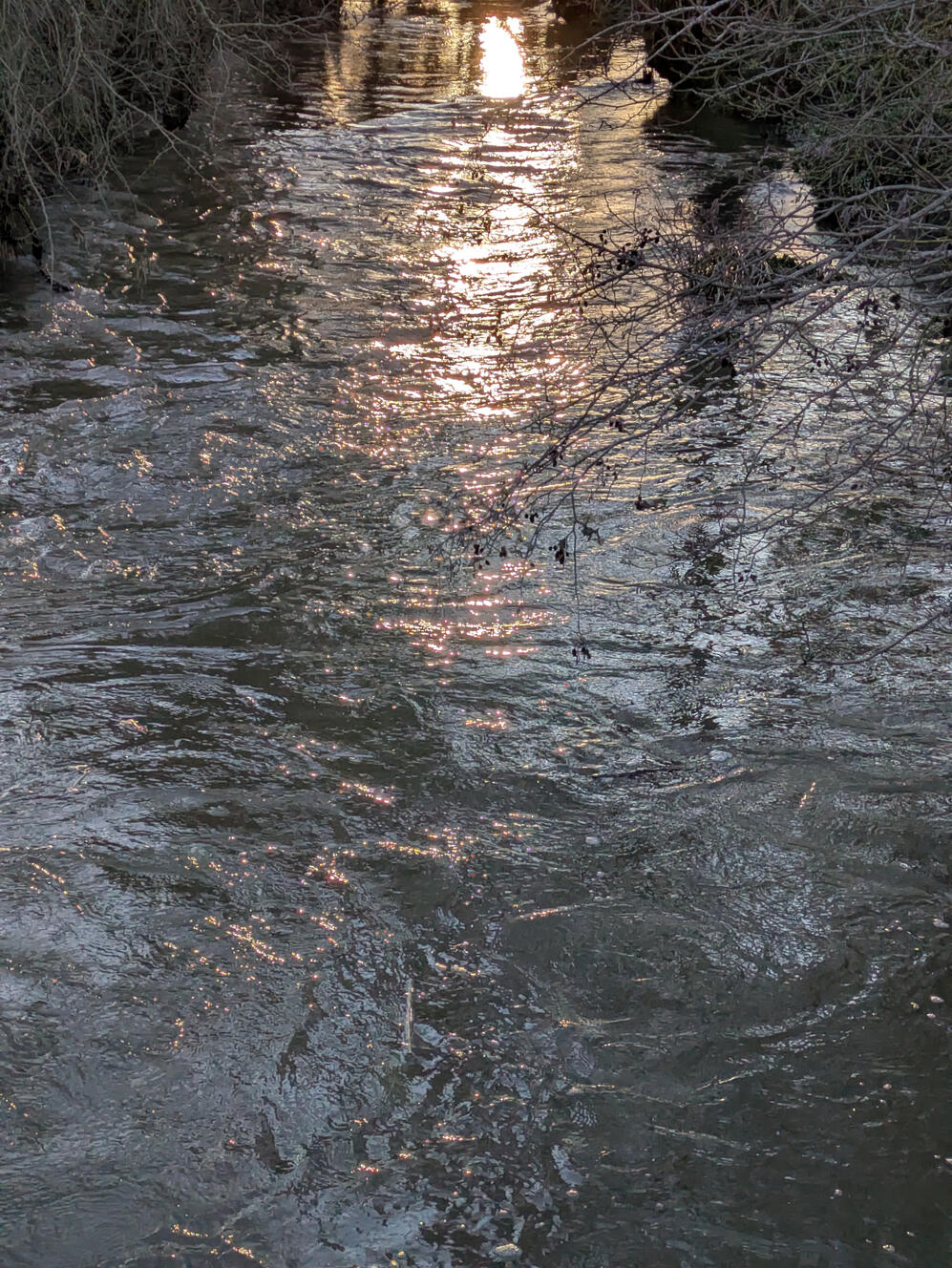 Broken water surface over a riffle in the River Aire, Myrtle Park, Bingley