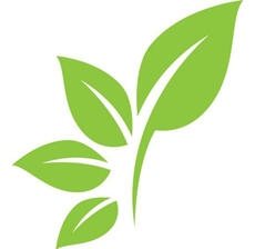 Company logo of multi-leafed branch